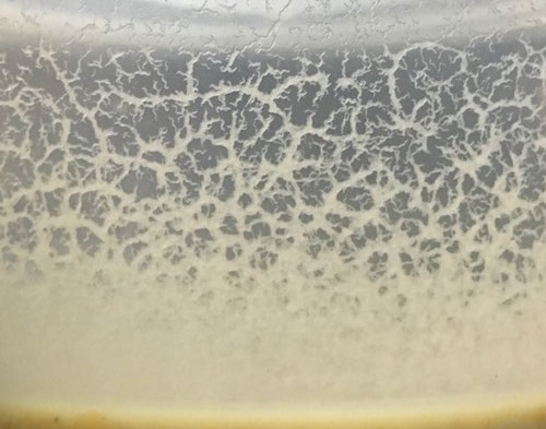 Micro Worms
