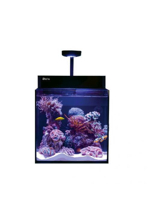 Red Sea Max Nano Penisular Tanks