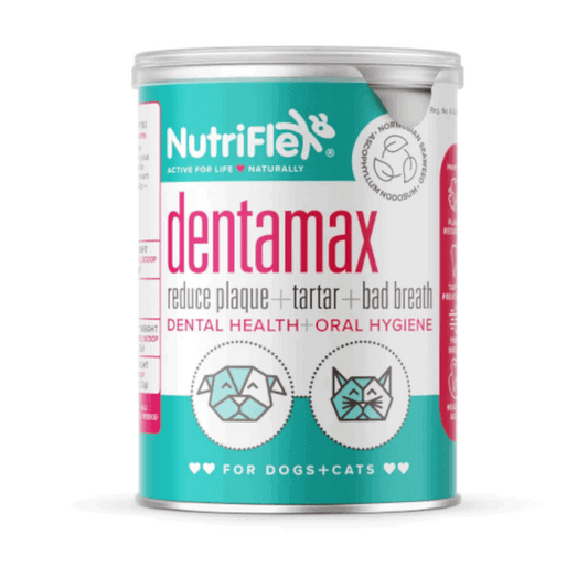 Nutriflex Dentamax Powder 180g