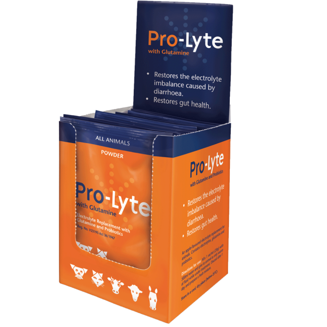 Pro-Lyte Sachets