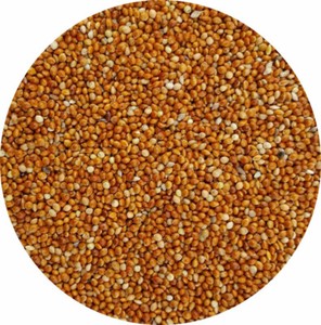 Westermans Red Millet 1Kg