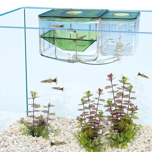 AN2 Aqua Nursery and Hatchery Breeding Box