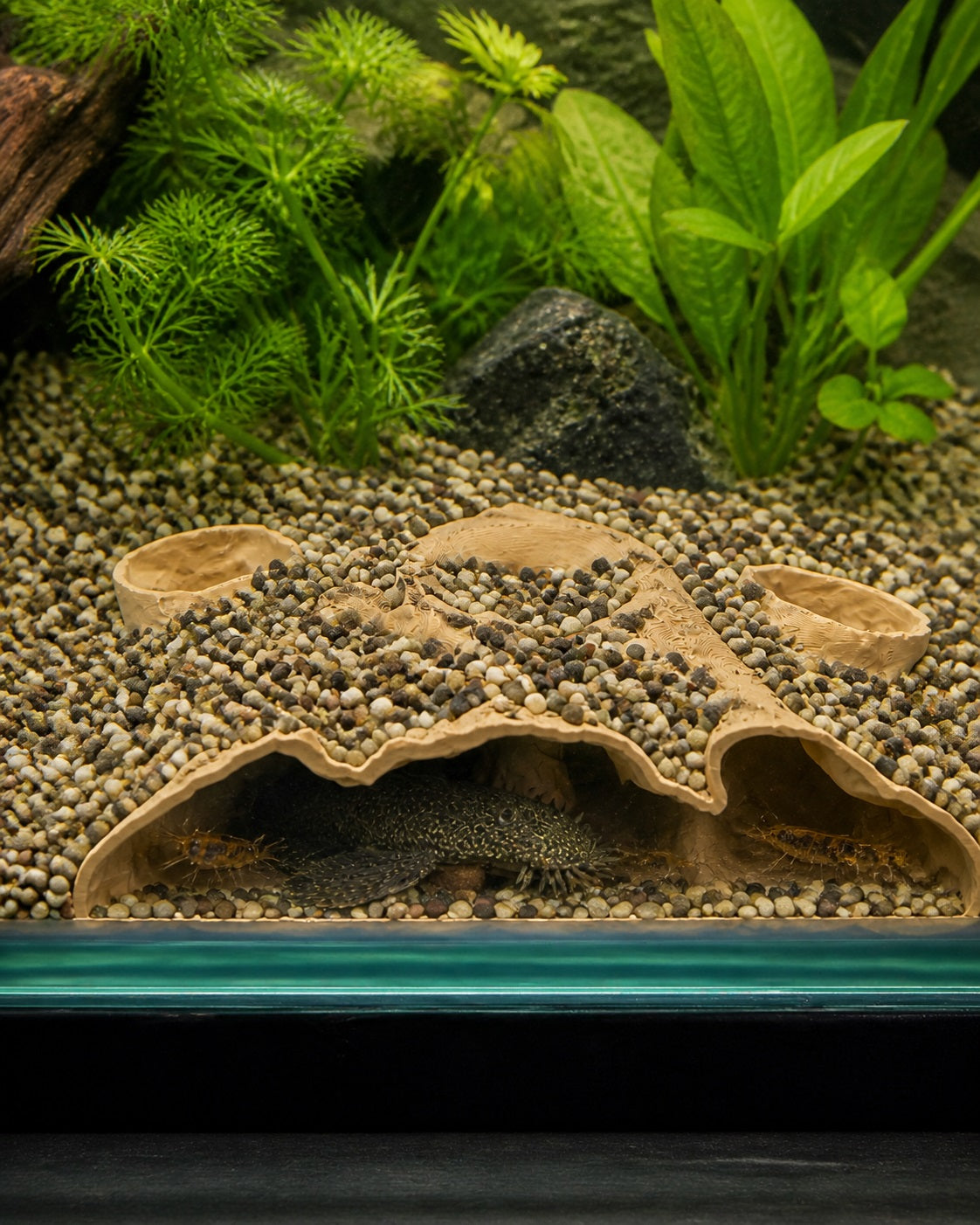 Under Gravel Cave