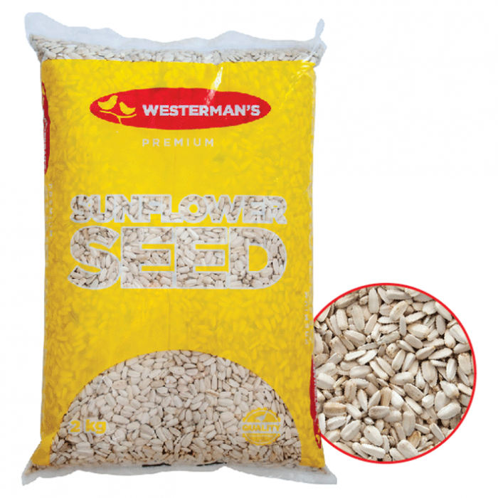 Westwerman's White Sunflower Seed