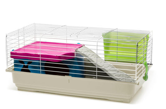Comfy Banny 1 Plus Cage
