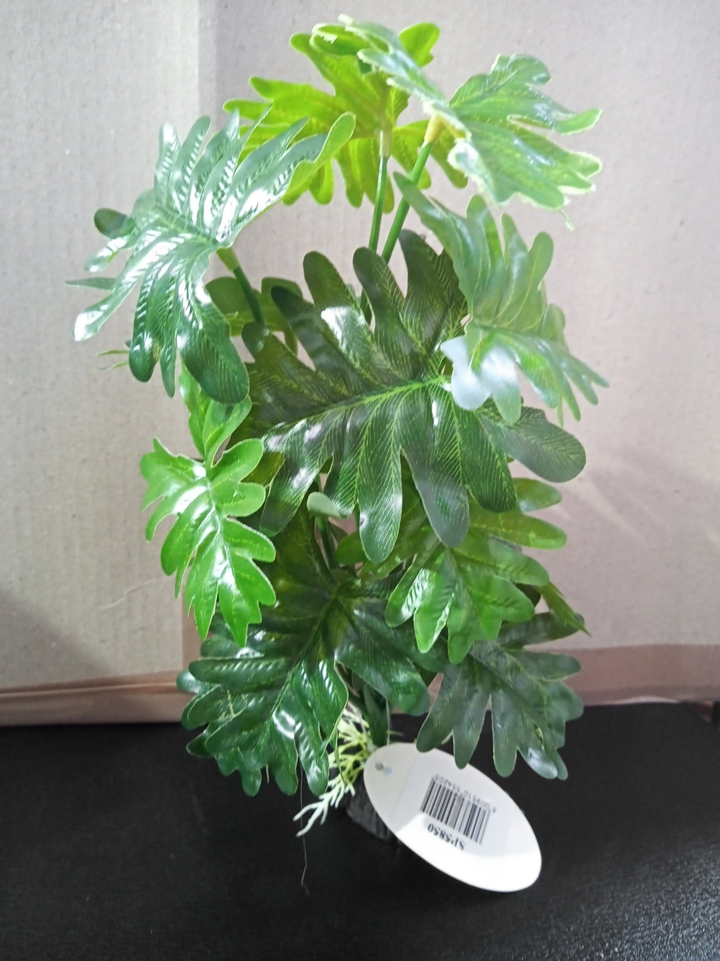 Chico's Silk Plant - Split Leaf