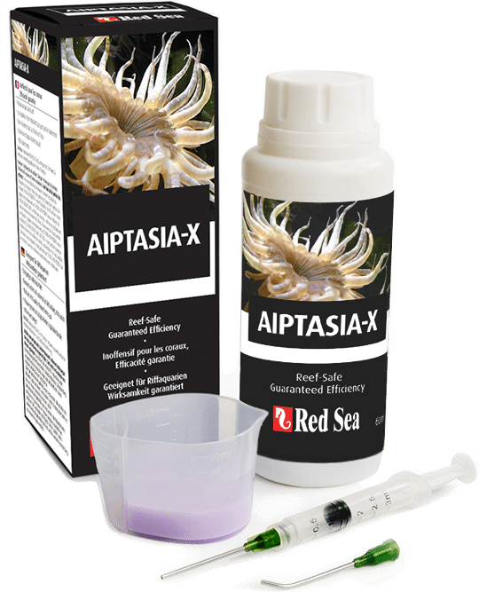 Red Sea Aiptasia - X 60ml