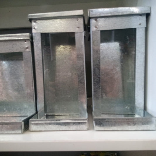 Daro Bird Metal Auto Feeder