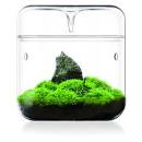 Bioloark My-150H Drip Jar Terrarium