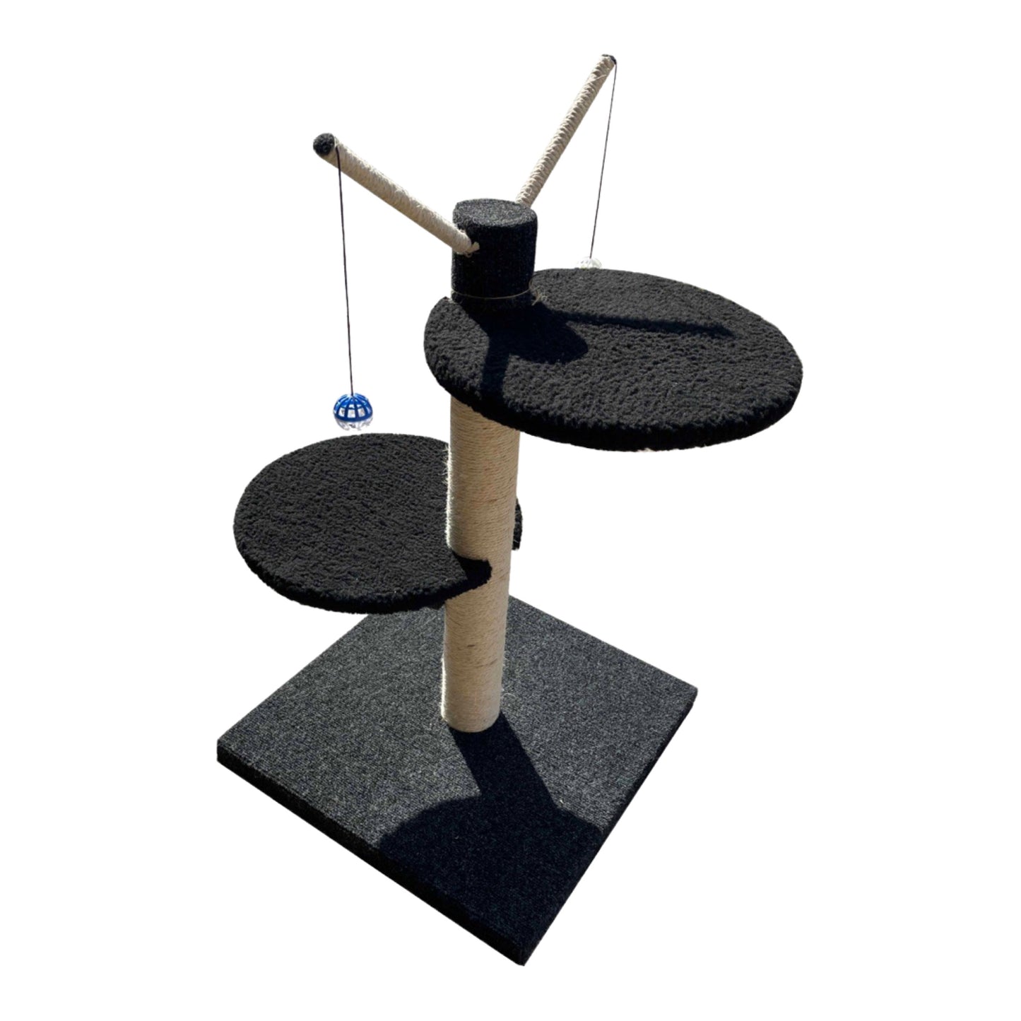 ScratzMe Black Footed Cat