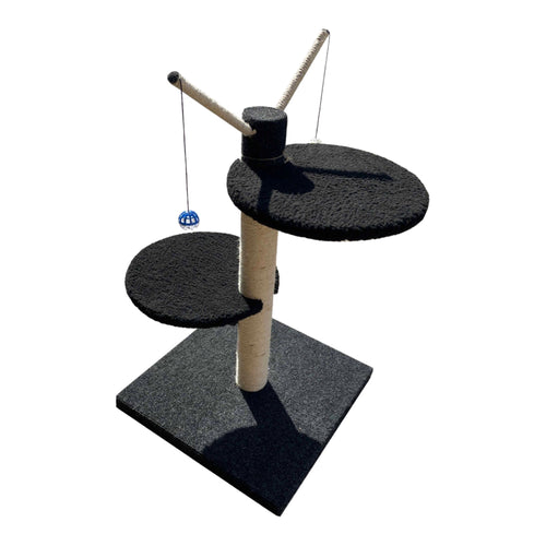 ScratzMe Black Footed Cat