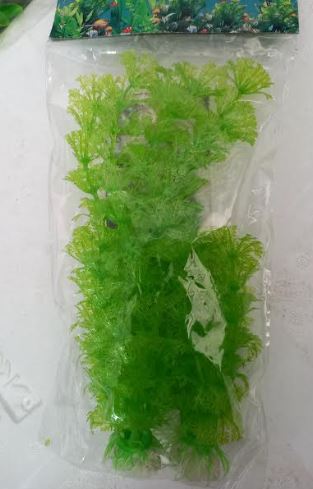 Assorted Double Pack  Of Plants