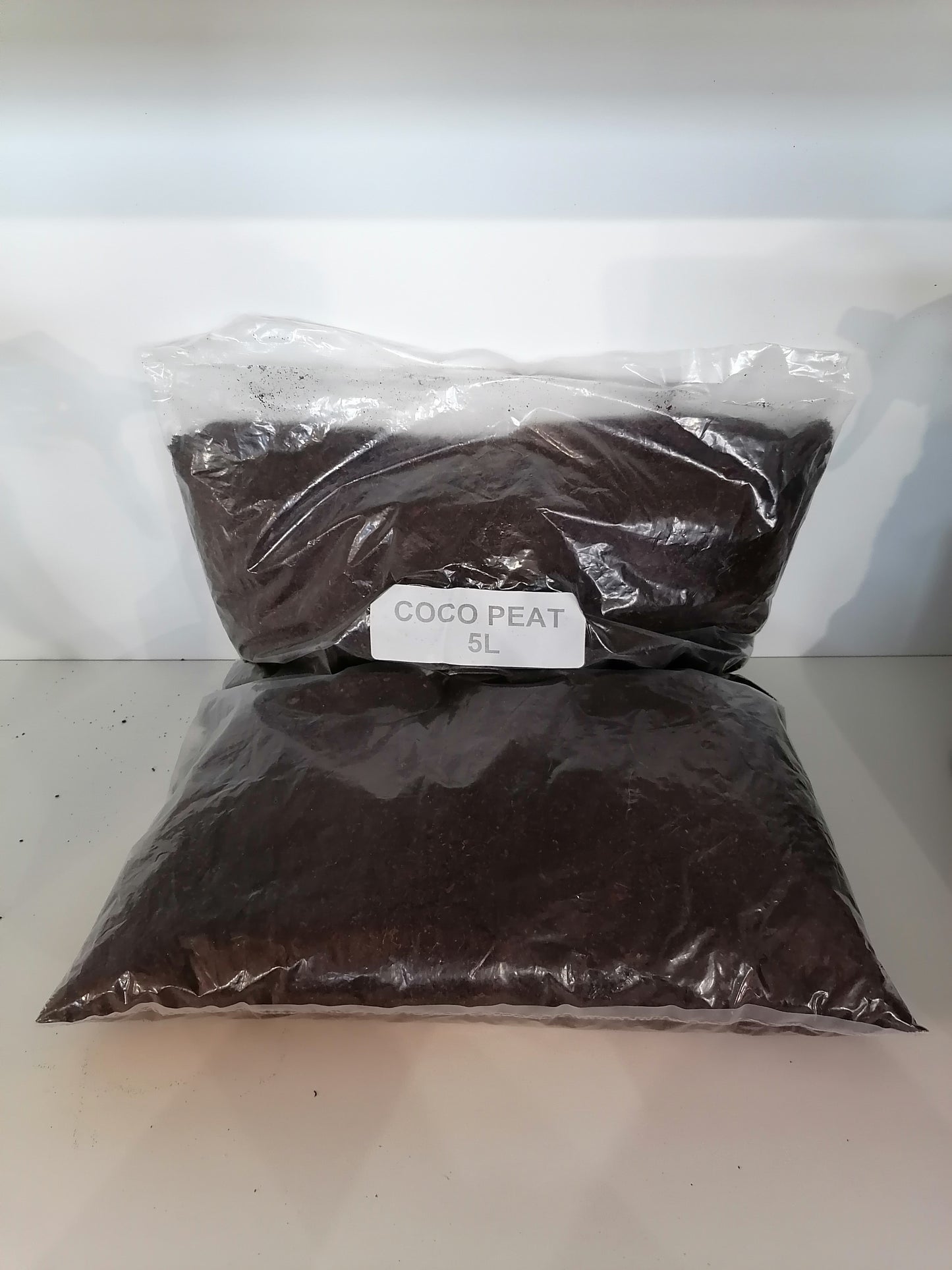 Daro Reptile Coco Palm Peat