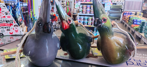 Elaine's Loerie Seed Feeder