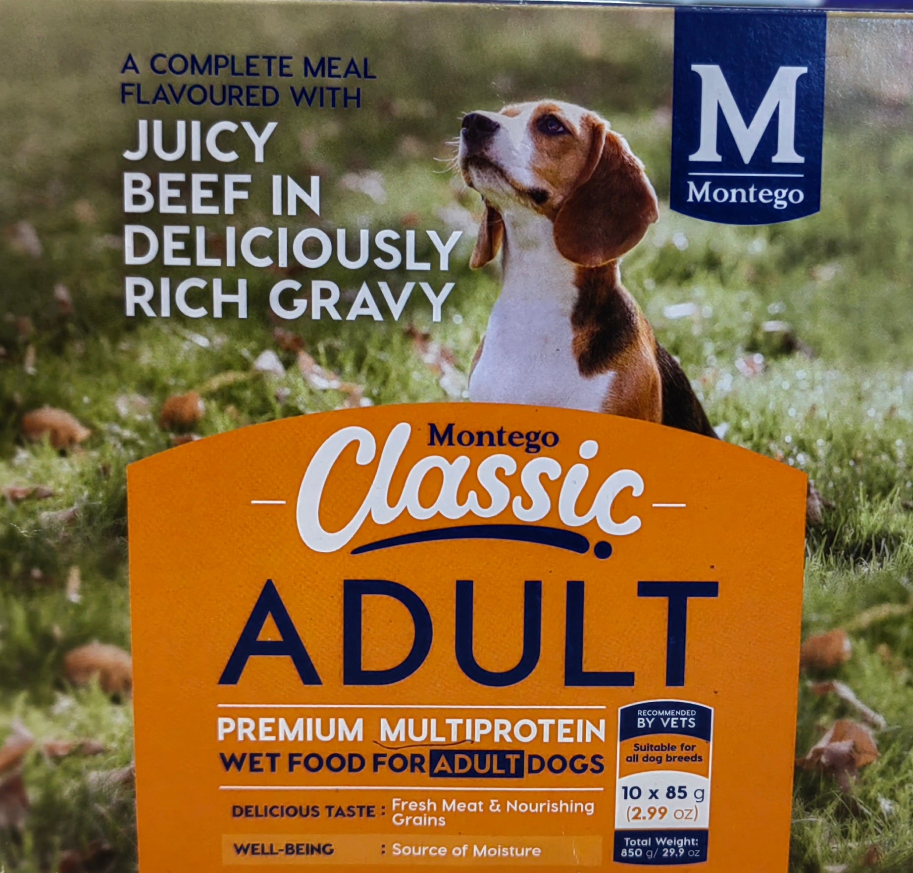 Montego Classic Juicy Beef In Rich Gravy pouch 85gx10 Box