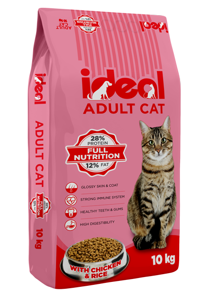 Ideal Cat Adult