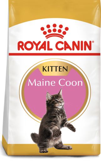 Royal Canin Maine Coon Kitten