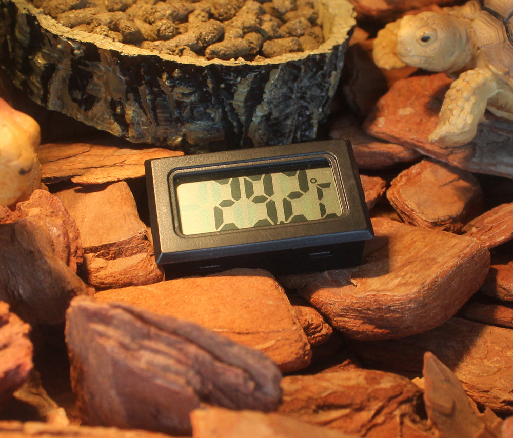 Nomoy Wireless Thermometer