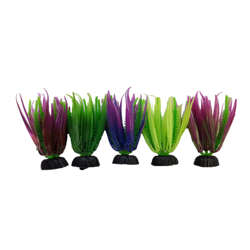 Akwa Plastic plant - PP9272