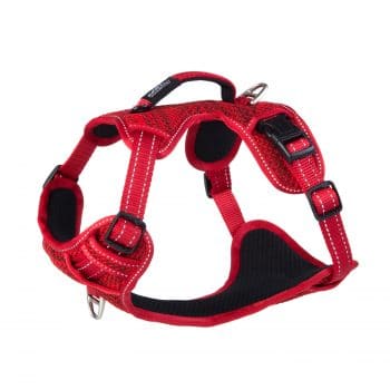 Rogz Explore Harness - Red