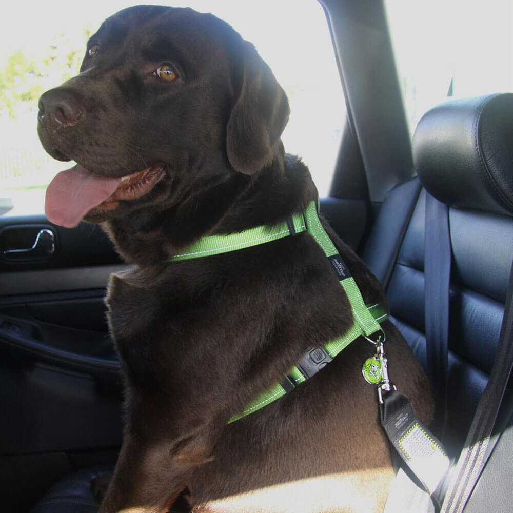Rogz Safety Belt Clip