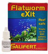 Salifert Flatworm Exit