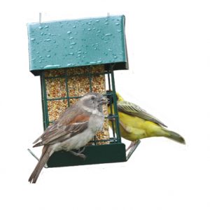 Elaine's Birding Bird Seed Tower