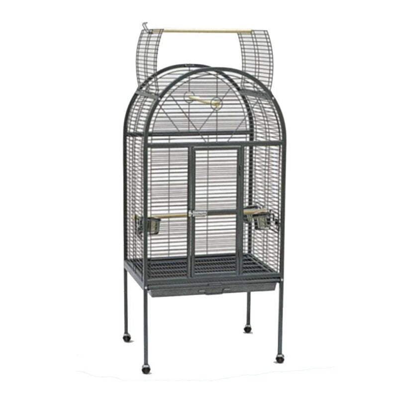Round Top Parrot Play - SY215