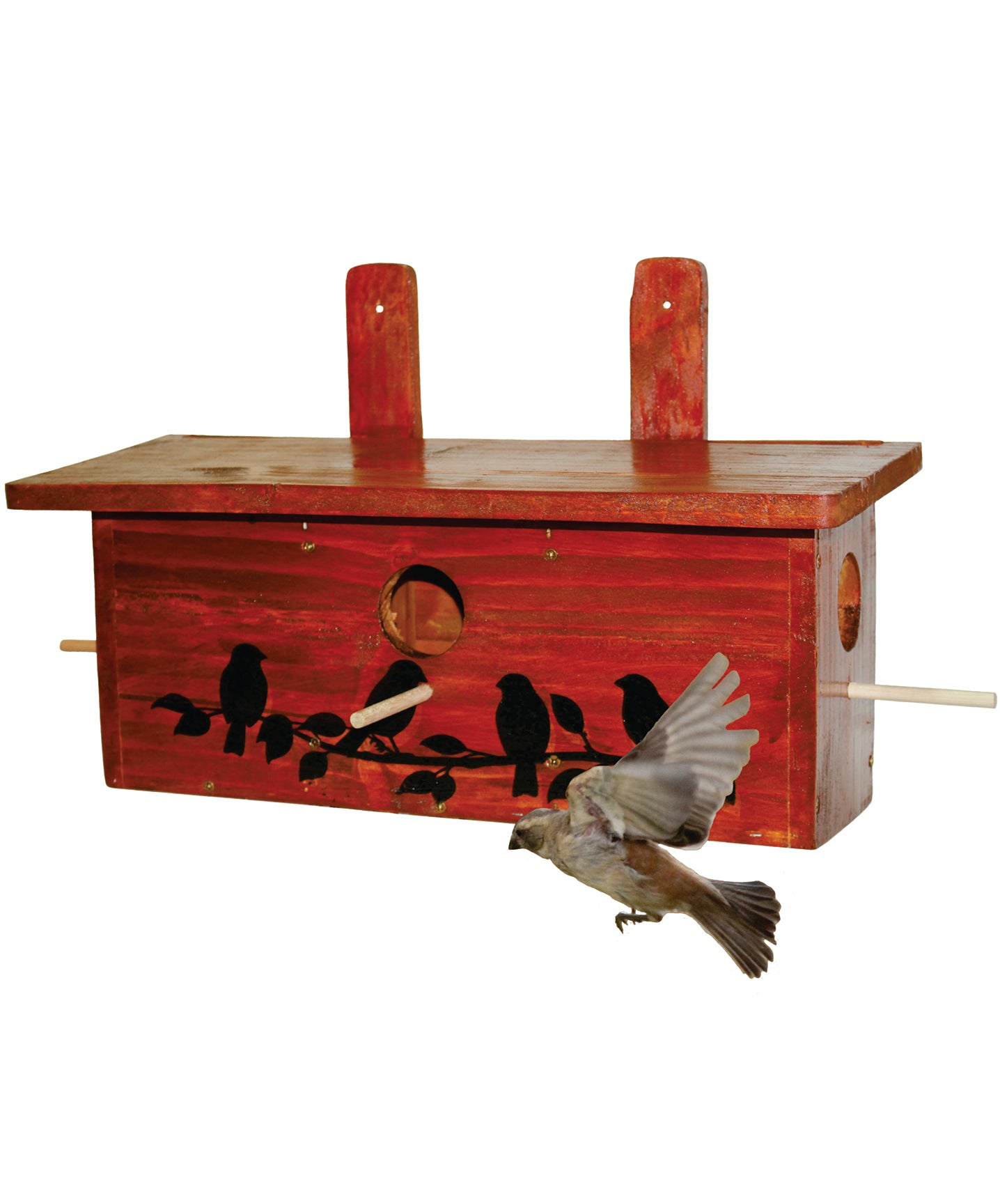 Elaine's Birding Sparrow Hotel