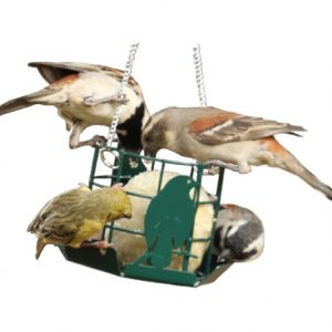 Elaine's Birding Suet Ball Holder