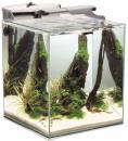 Aquael Fish/Shrimp DUO Tank