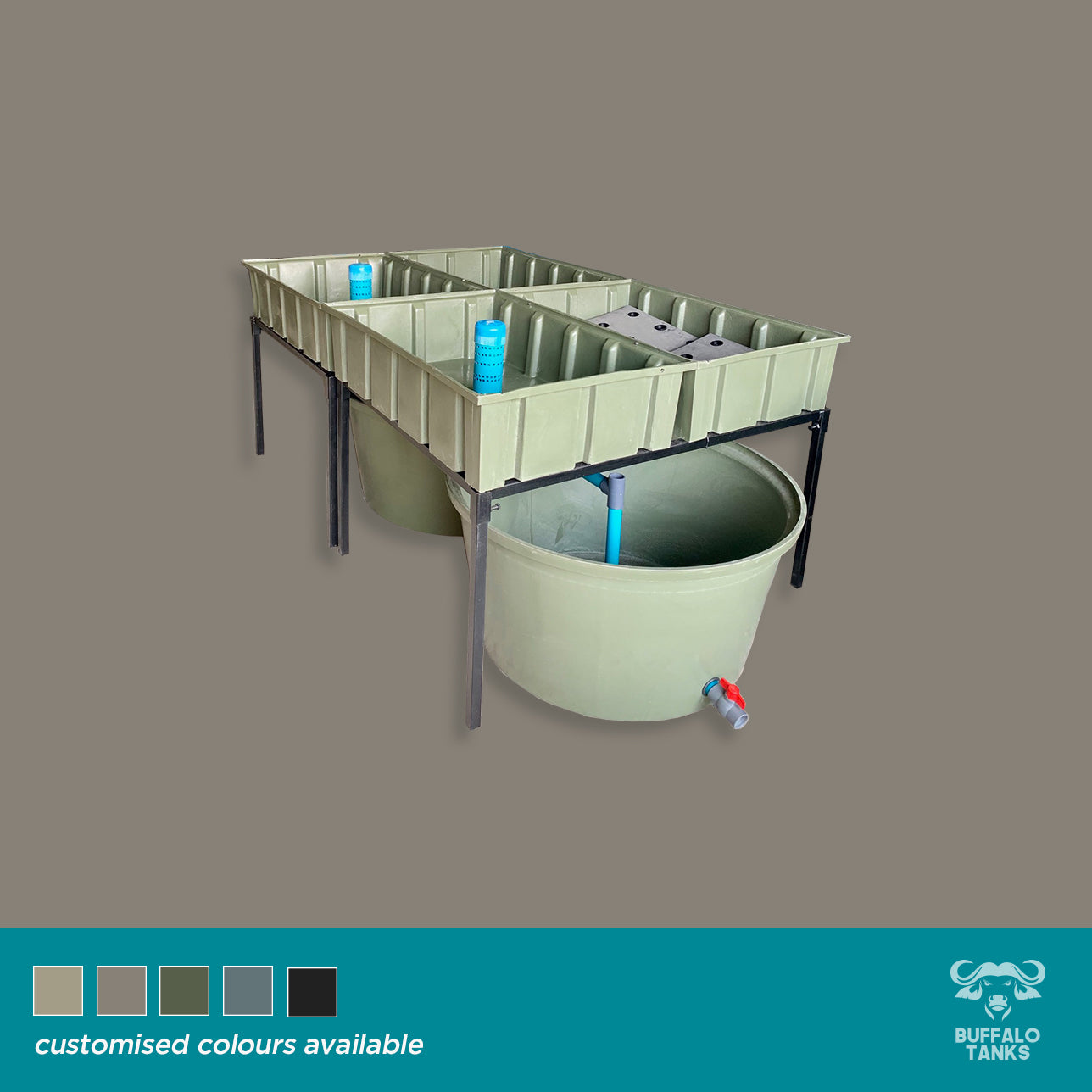 Aquaponics-Comprehensive Starter Kit 2