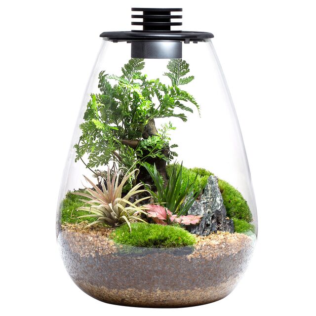 Bioloark Bio Bottle LED SD