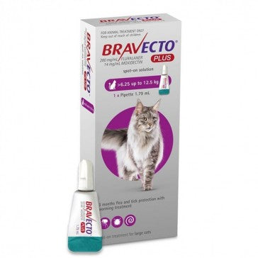 Bravecto plus large cat 6.25-12.5kg