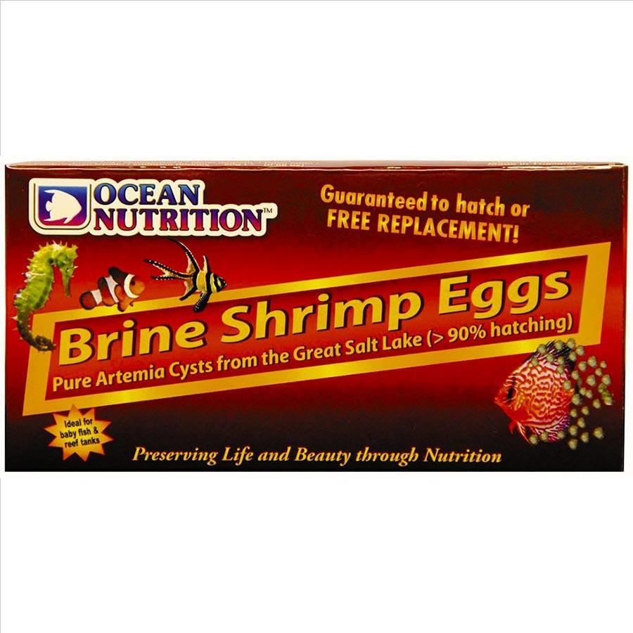 Ocean Nutrition Brine shrimp Eggs