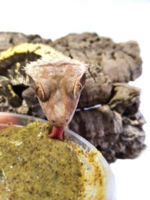 Ultimate Exotics Crestie Food - Banana 50g