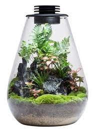 Bioloark Bio Bottle LED SD