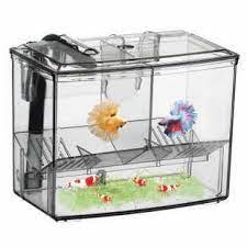 External Breeding Boxes