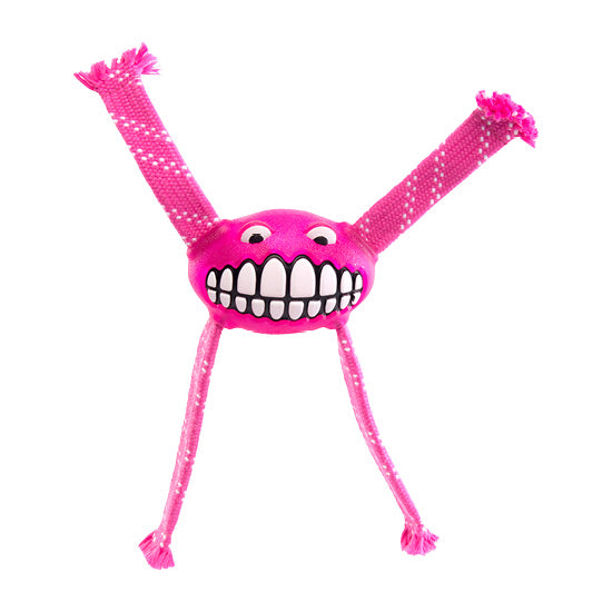 Rogz Flossy Grinz Toy