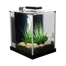 Fluval Spec 3