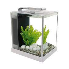 Fluval Spec 3