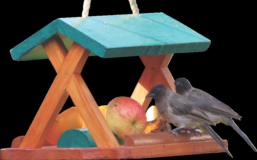 Elaine's fruit to go feeder