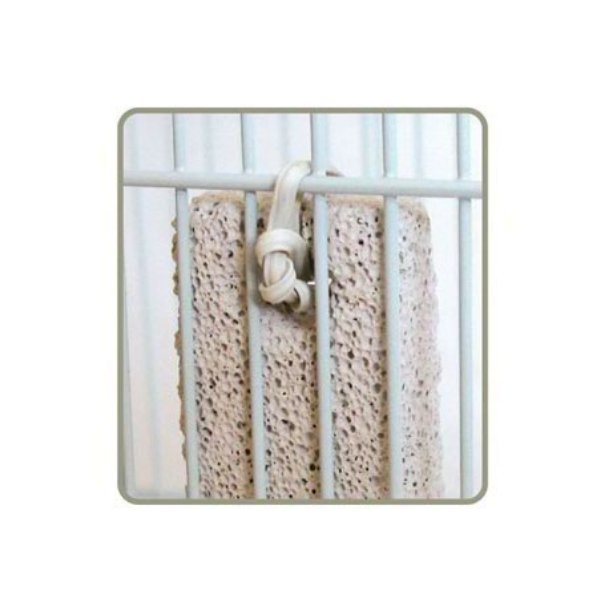 Jolly Hamster Gnawing Stone