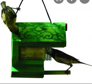 Elaine's Birding Grub in a Tub Feeder