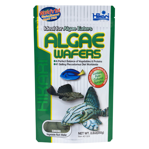 Hikari Algae Wafers