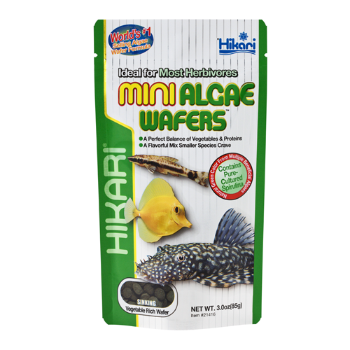 Hikari Mini Algae Wafers