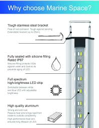 Zetlight Marine Space Leds - Freshwater