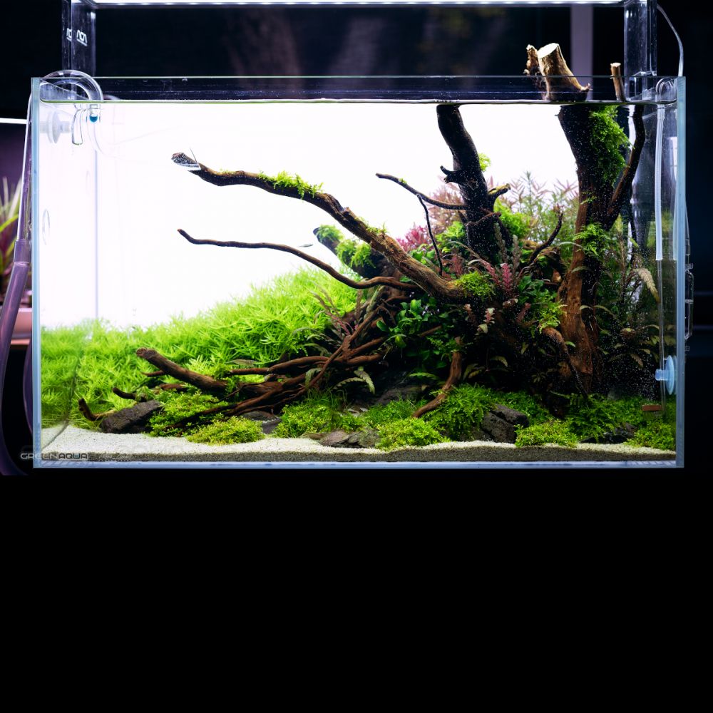 Lightground illuminated LED Aquarium Back Light