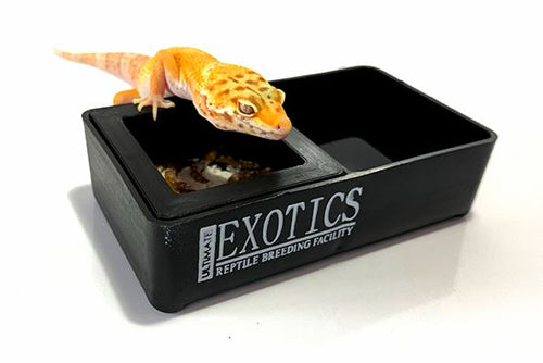 Ultimate Exotics Mealworm, Water Dish Combo