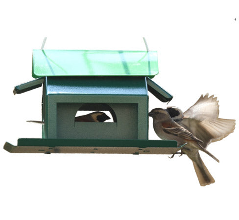 Elaine's Birding Bird Seed House